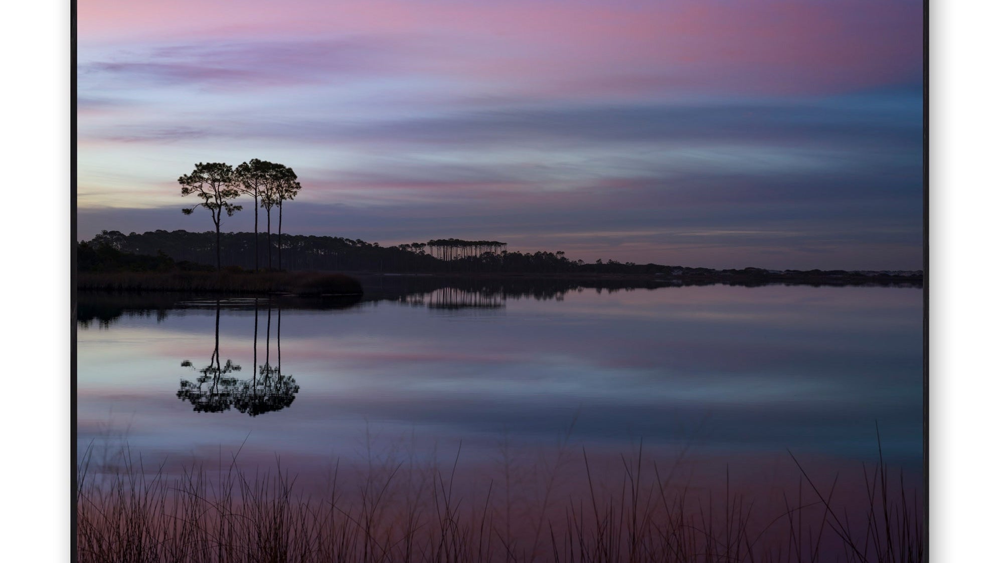 End of Summer Unveiling