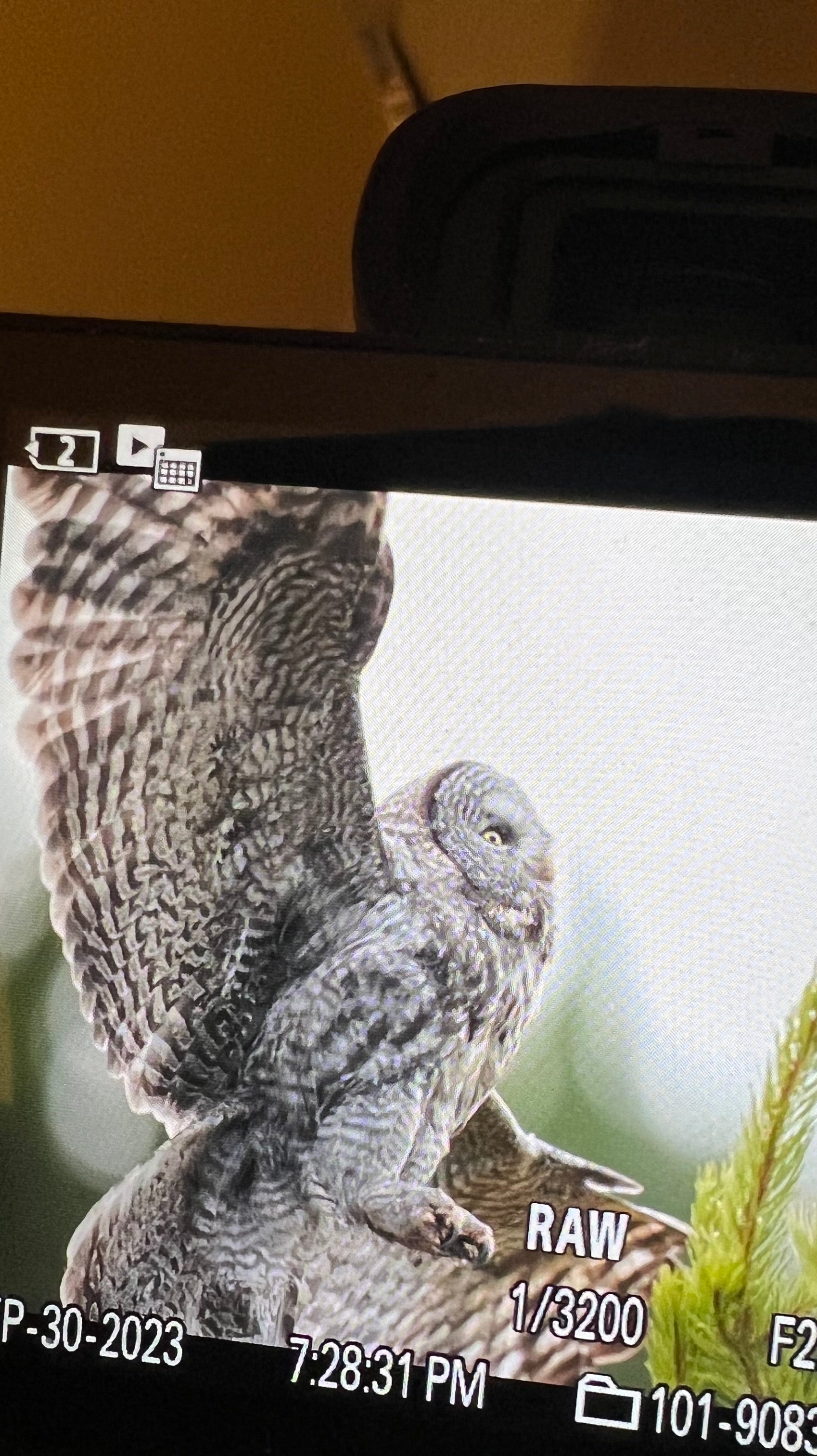 GYE Fall 2023 Trip Report - Pre-Installment