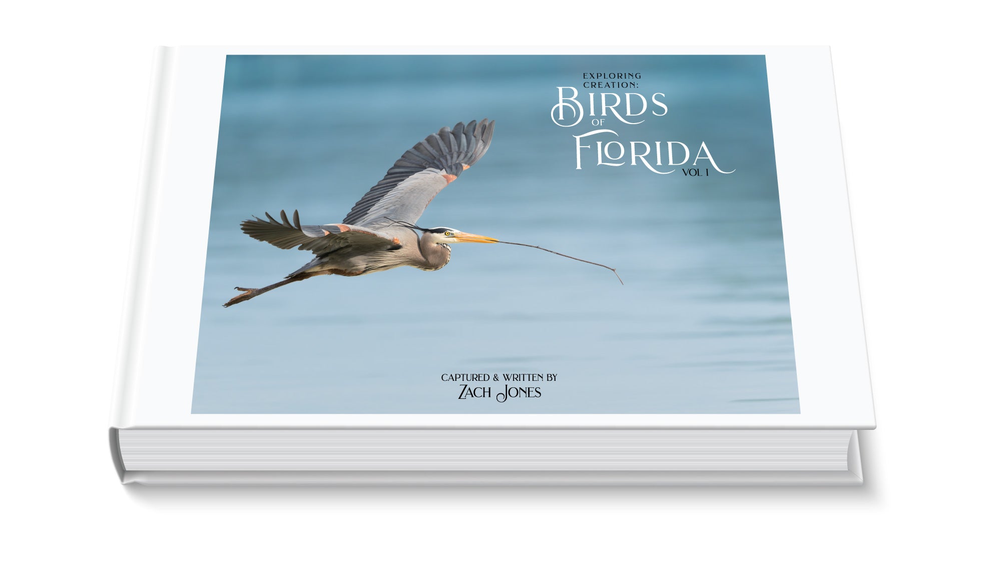 Now Available: Exploring Creation: Birds of Florida