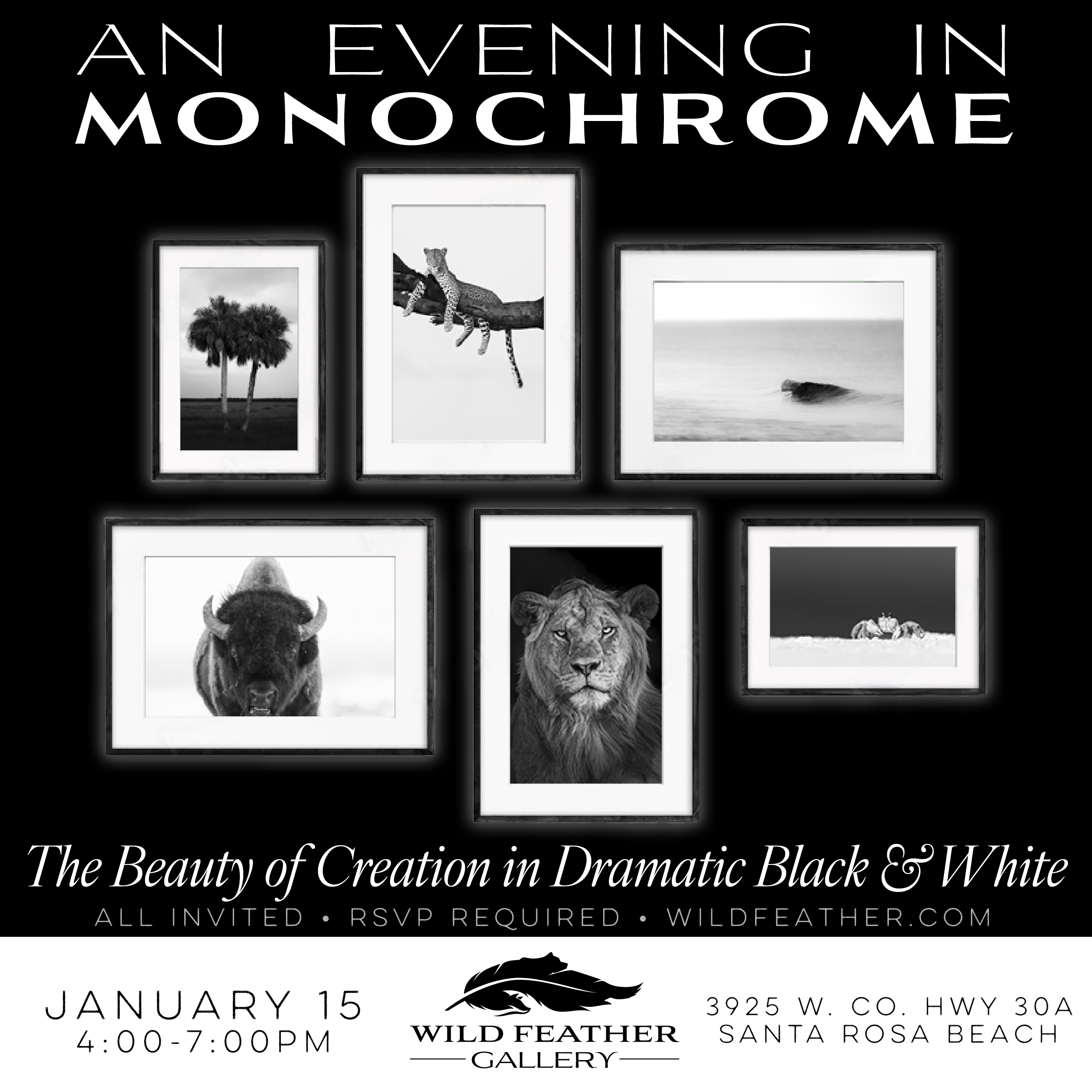An Evening in Monochrome (January 15, 2026)