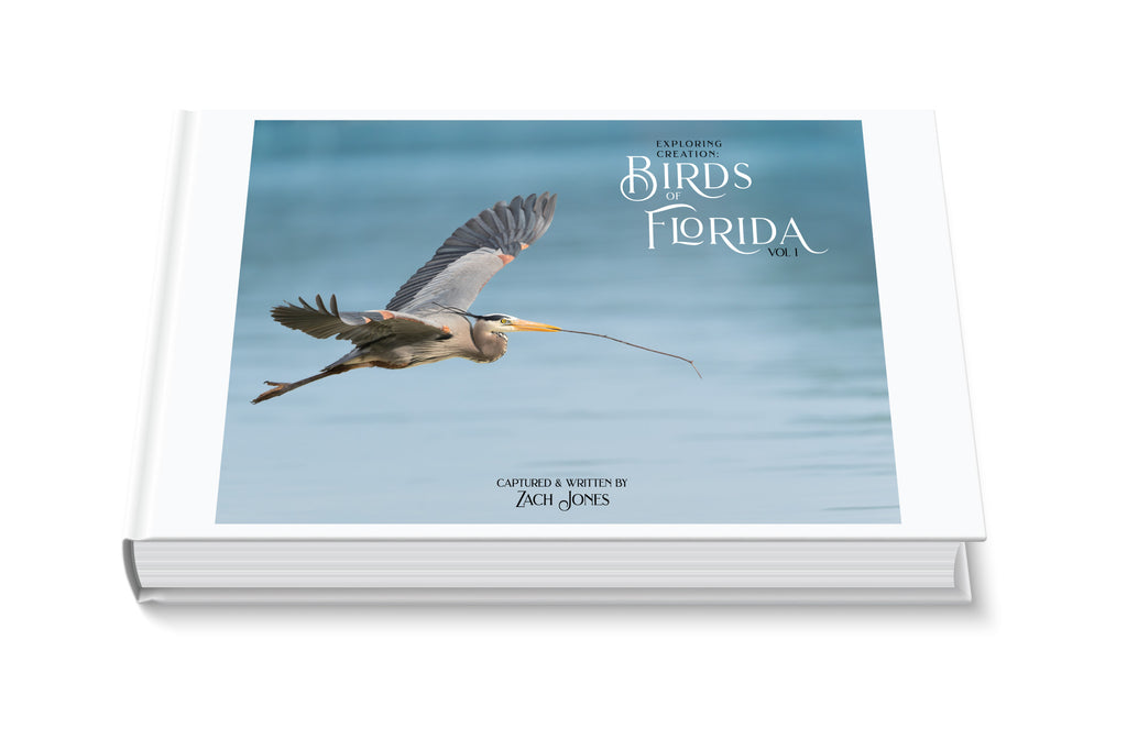 Now Available: Exploring Creation: Birds of Florida