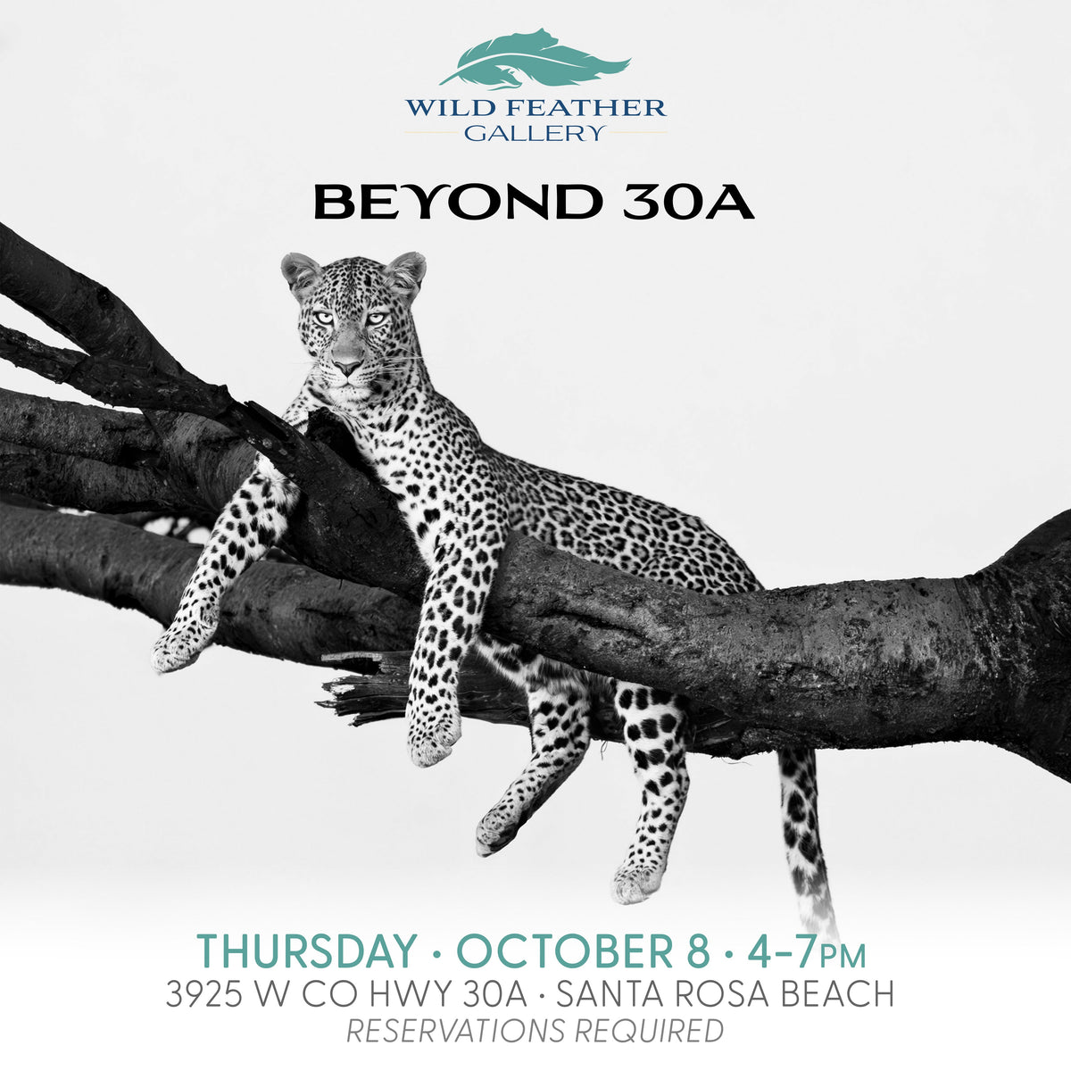 Beyond 30A: October 8, 2026