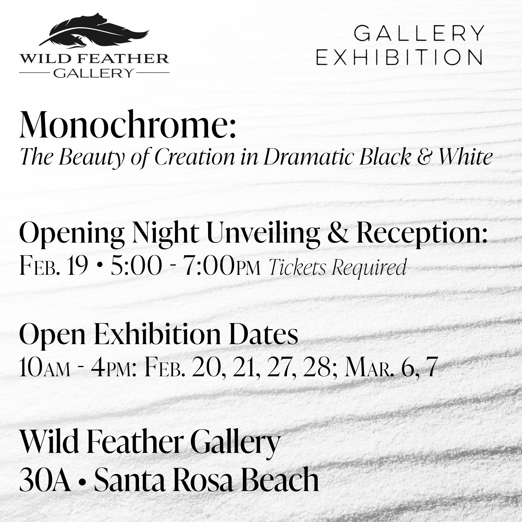 Exhibition - Monochrome: The Beauty of Creation in Dramatic Black & White (February - March 2026)