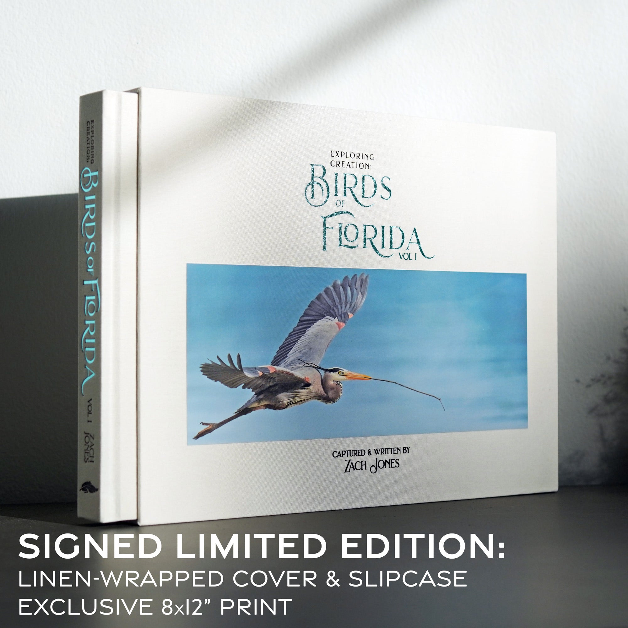 Exploring Creation: Birds of Florida – Wild Feather Gallery