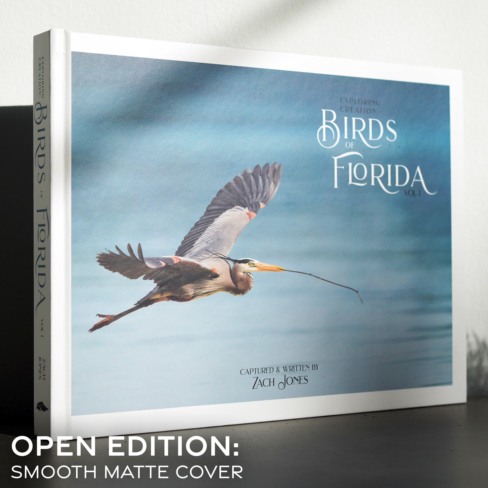Exploring Creation: Birds of Florida – Wild Feather Gallery