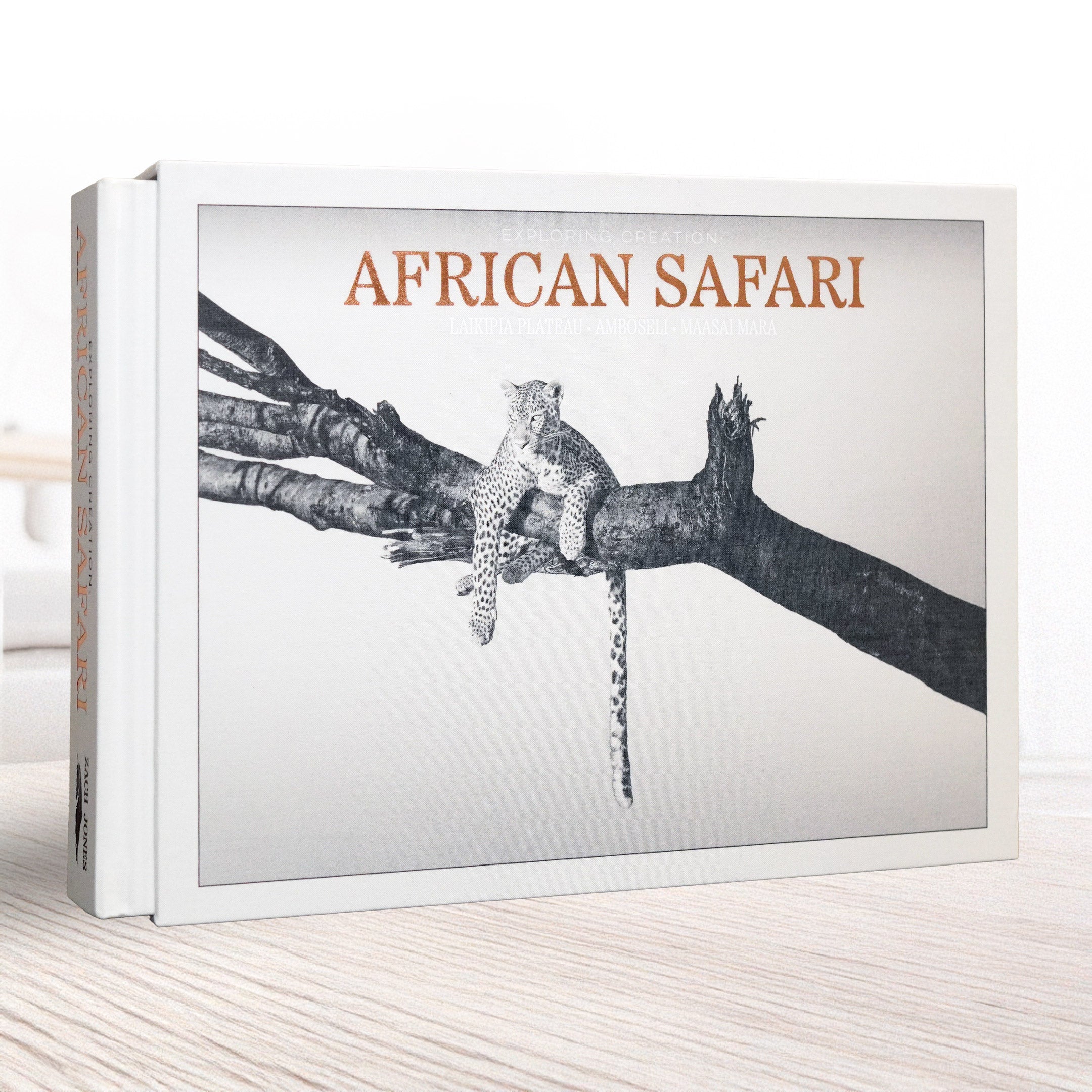 Exploring Creation: African Safari – Wild Feather Gallery
