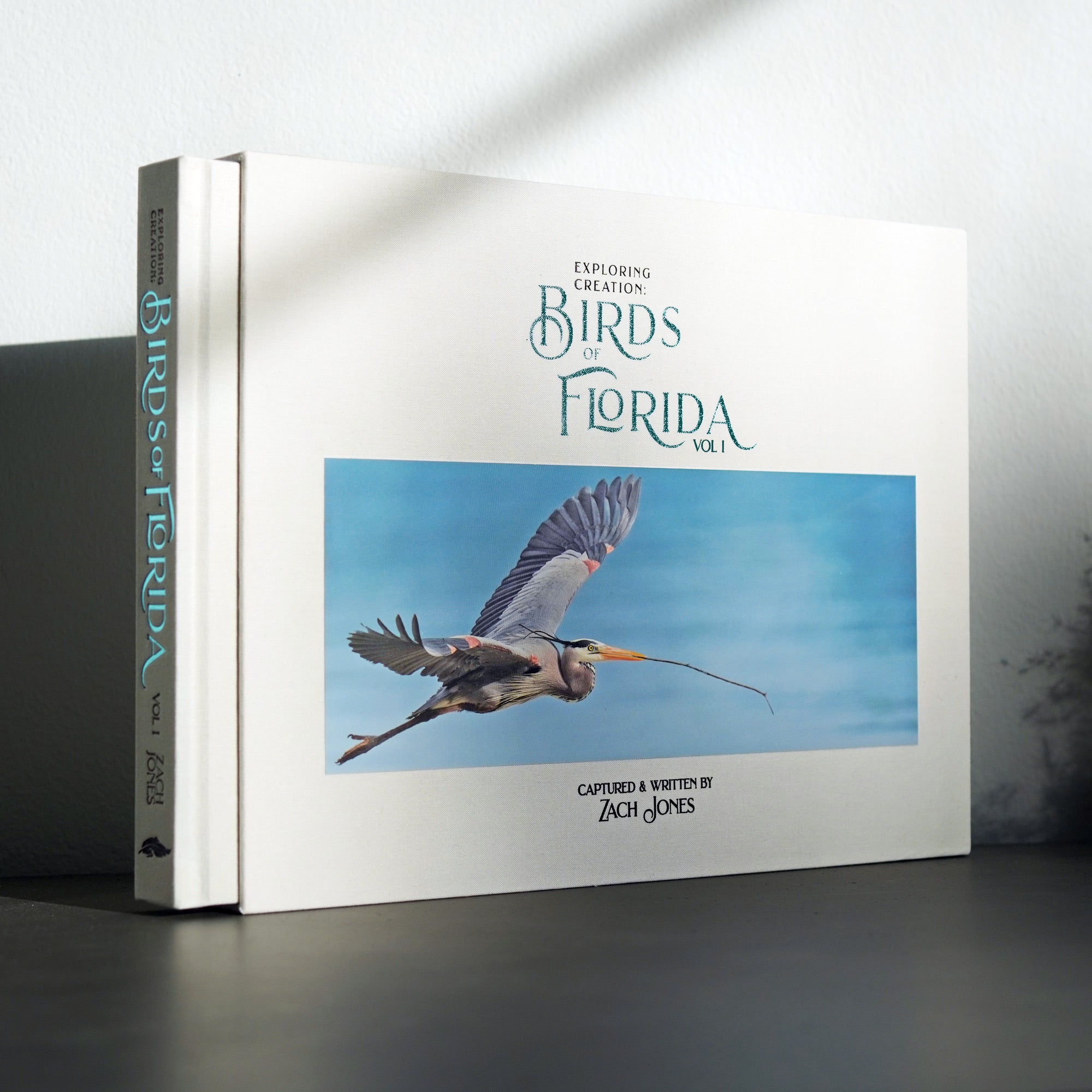 Exploring Creation: Birds of Florida – Wild Feather Gallery
