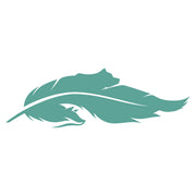 Wild Feather Gallery logo